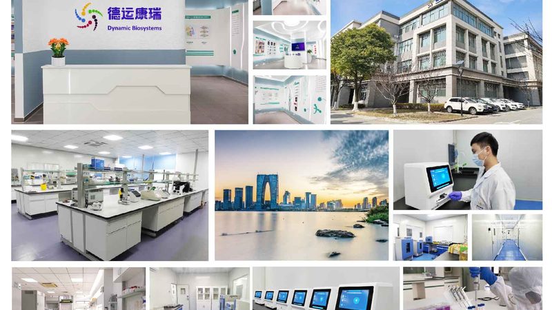 基因测序个性化报告：解码精准医疗的未来