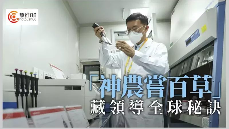 提升CRISPR/Cas9技术转化率的关键要素解析