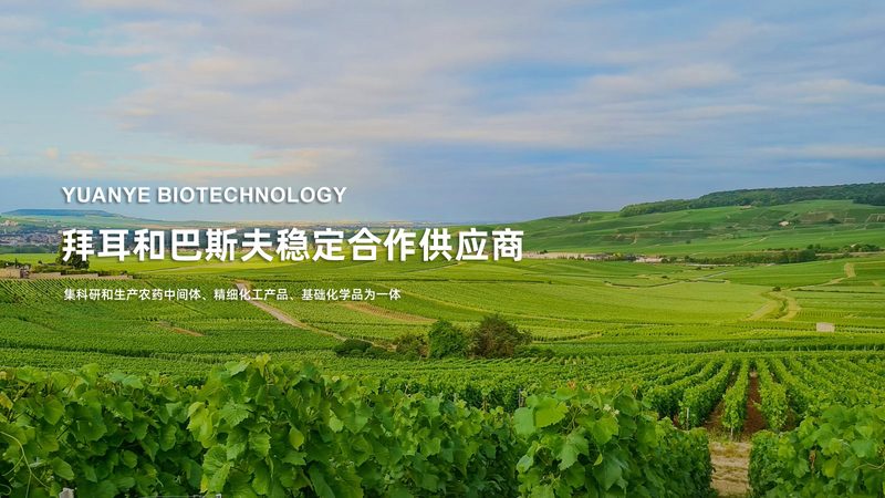 实验室耗材代理加盟，首先需要具备相应的资质。一般而言，代理商需要具备以下条件：