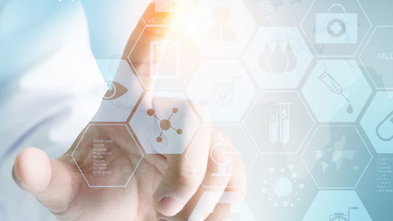 引物合成在分子生物学中的重要性与应用