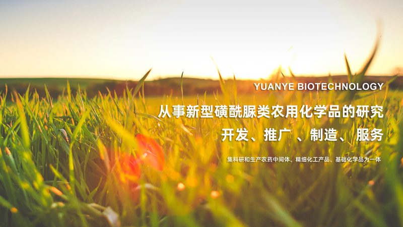 PCR检测在医院中的关键流程步骤解析
