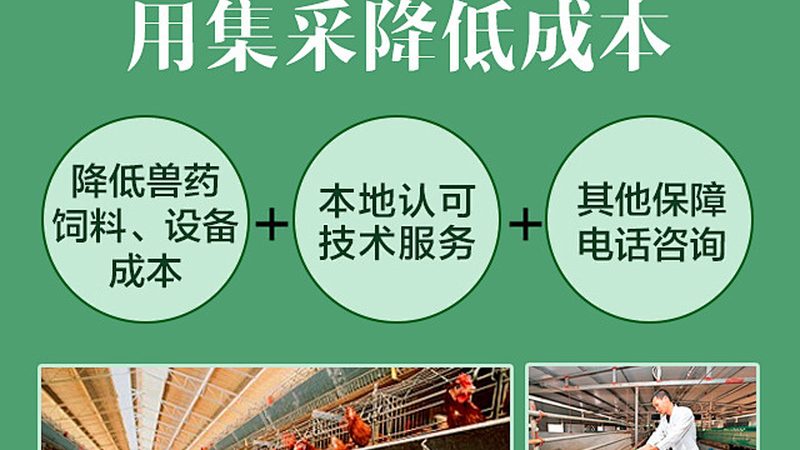 诊断试剂厂家十大品牌推荐