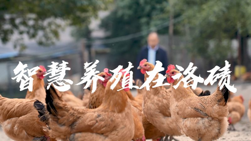 生物医药制剂OEM生产流程揭秘：从源头把控质量**