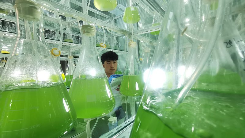 生物科技产品分类解析：探索多样化的应用场景